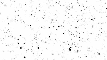 Animated particle Flying Through In Space white background video