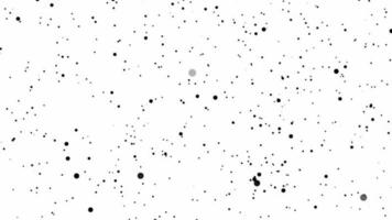 Animated particle Flying Through In Space white background video