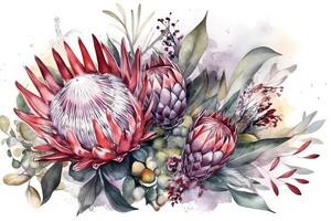 Banner with branches purple protea flowers plumeria hibiscus and tropical plants hand drawn watercolor painting on white background. photo