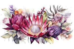 Banner with branches purple protea flowers plumeria hibiscus and tropical plants hand drawn watercolor painting on white background. photo