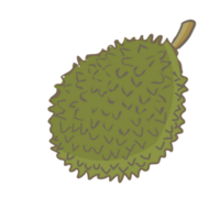 durian tropical épine thaïlandais fruit png