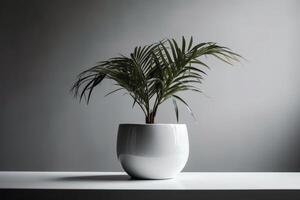 un moderno y minimalista planta maceta en un blanco antecedentes. ai generado foto