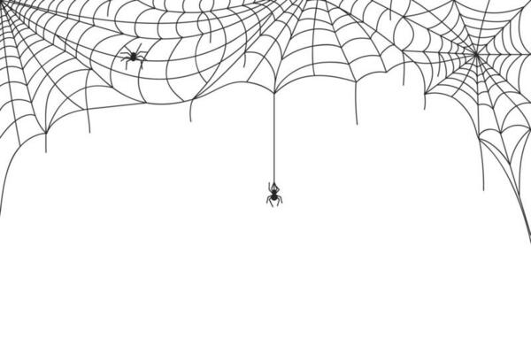 Halloween spider web border, spooky cobwebs with hanging spiders. Scary webs frame decoration, spiderweb silhouette vector background