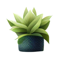 Beautiful plants in ceramic pots . png