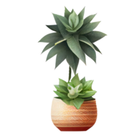 Beautiful plants in ceramic pots . png