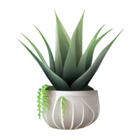 Beautiful plants in ceramic pots . png