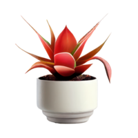 magnifique les plantes dans céramique des pots . ai généré png