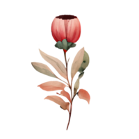 watercolor flower . AI Generated png