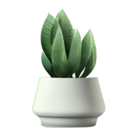 Beautiful plants in ceramic pots . png