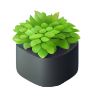 Beautiful plants in ceramic pots . png