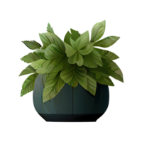 magnifique les plantes dans céramique des pots . ai généré png