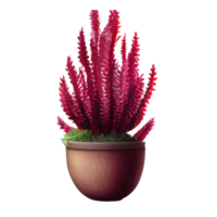 Beautiful plants in ceramic pots . png