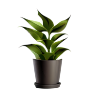 Beautiful plants in ceramic pots . png