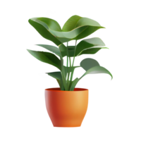 Beautiful plants in ceramic pots . png