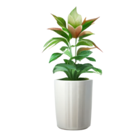 Beautiful plants in ceramic pots . png