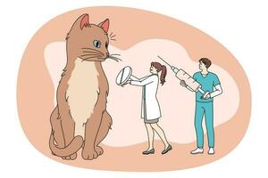 Tiny doctors cure cat giving medications vector