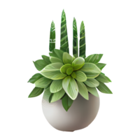 Beautiful plants in ceramic pots . png