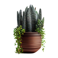 Beautiful plants in ceramic pots . png