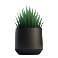 Beautiful plants in ceramic pots . png