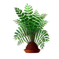 Beautiful plants in ceramic pots . png