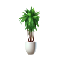 Beautiful plants in ceramic pots . png