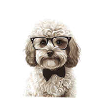 cockapoo hond . ai gegenereerd png