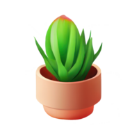 Beautiful plants in ceramic pots . png