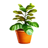 Beautiful plants in ceramic pots . png