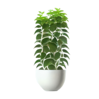 Beautiful plants in ceramic pots . png