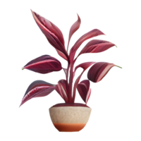 Beautiful plants in ceramic pots . png