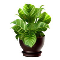 Beautiful plants in ceramic pots . png