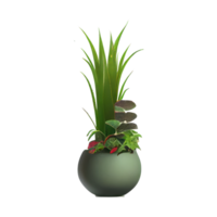 Beautiful plants in ceramic pots . png