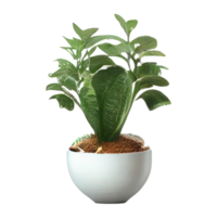 Beautiful plants in ceramic pots . png