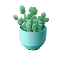 Beautiful plants in ceramic pots . png