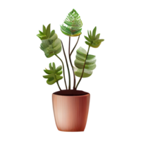 Beautiful plants in ceramic pots . png