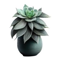 Beautiful plants in ceramic pots . png