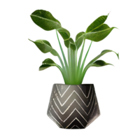 lindo plantas dentro cerâmico panelas . ai gerado png