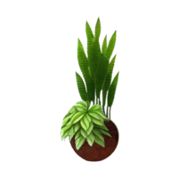 Beautiful plants in ceramic pots . png