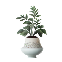 Beautiful plants in ceramic pots . png