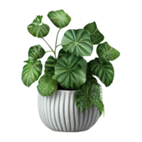 magnifique les plantes dans céramique des pots . ai généré png