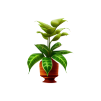 Beautiful plants in ceramic pots . png