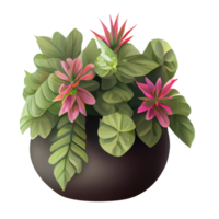 Beautiful plants in ceramic pots . png