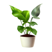 Beautiful plants in ceramic pots . png