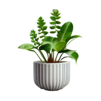 Beautiful plants in ceramic pots . png