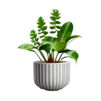 lindo plantas dentro cerâmico panelas . ai gerado png