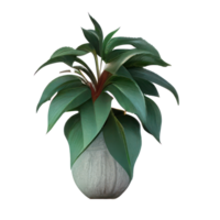 Beautiful plants in ceramic pots . png