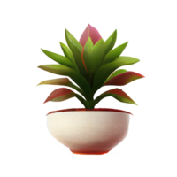 Beautiful plants in ceramic pots . png