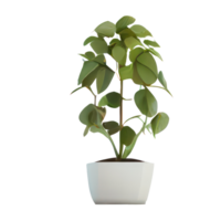 lindo plantas dentro cerâmico panelas . ai gerado png