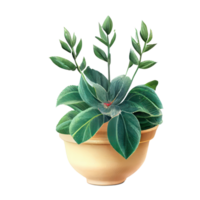 Beautiful plants in ceramic pots . png