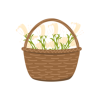 Flower basket illustration png